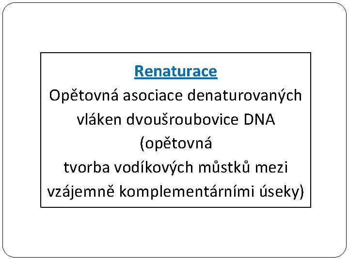 Renaturace Opětovná asociace denaturovaných vláken dvoušroubovice DNA (opětovná tvorba vodíkových můstků mezi vzájemně komplementárními