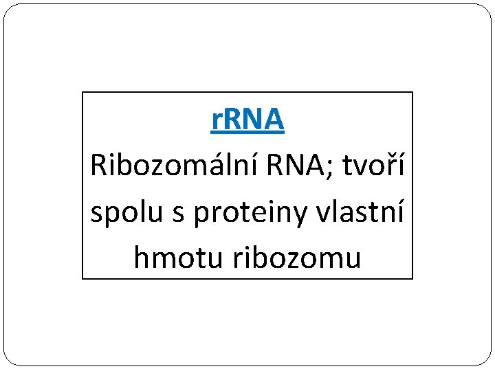 r. RNA Ribozomální RNA; tvoří spolu s proteiny vlastní hmotu ribozomu 