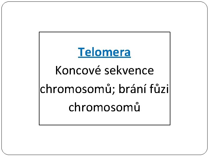 Telomera Koncové sekvence chromosomů; brání fůzi chromosomů 