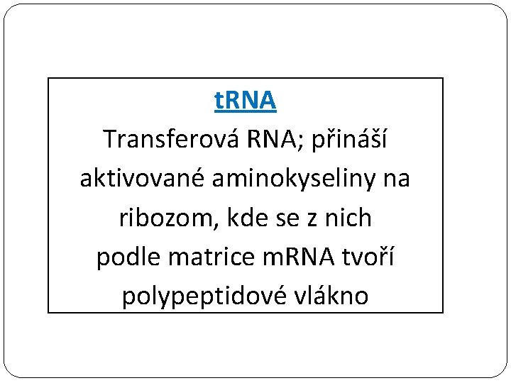 t. RNA Transferová RNA; přináší aktivované aminokyseliny na ribozom, kde se z nich podle