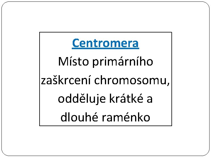 Centromera Místo primárního zaškrcení chromosomu, odděluje krátké a dlouhé raménko 