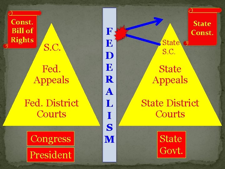 Const. Bill of Rights S. C. Fed. Appeals Fed. District Courts Congress President F