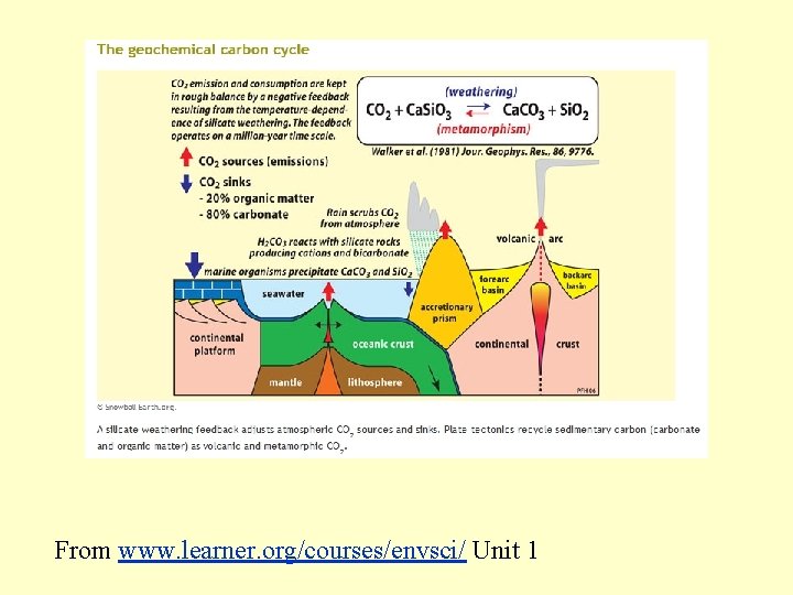 From www. learner. org/courses/envsci/ Unit 1 