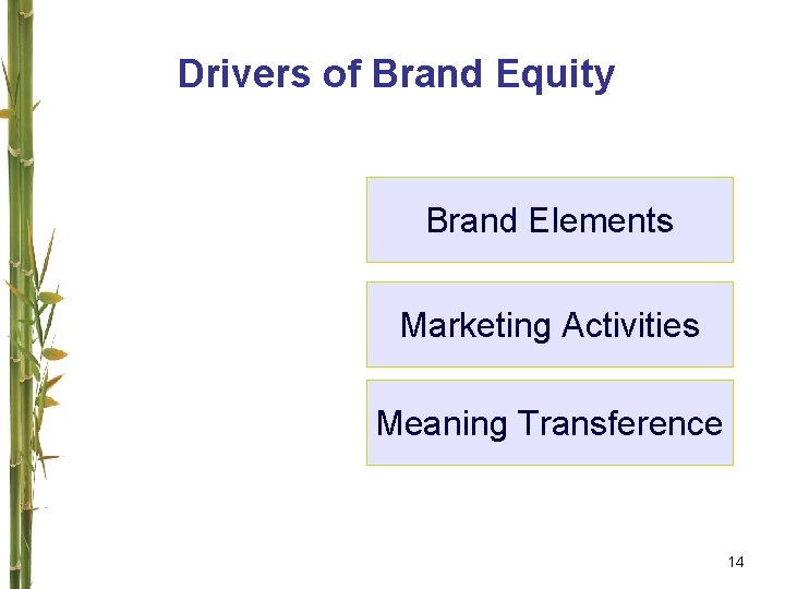 Drivers of Brand Equity Brand Elements Marketing Activities Meaning Transference 14 