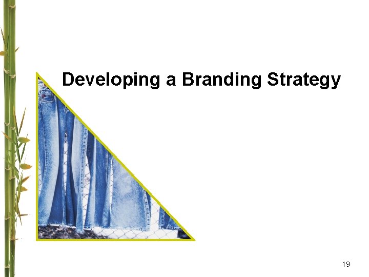 Developing a Branding Strategy 19 