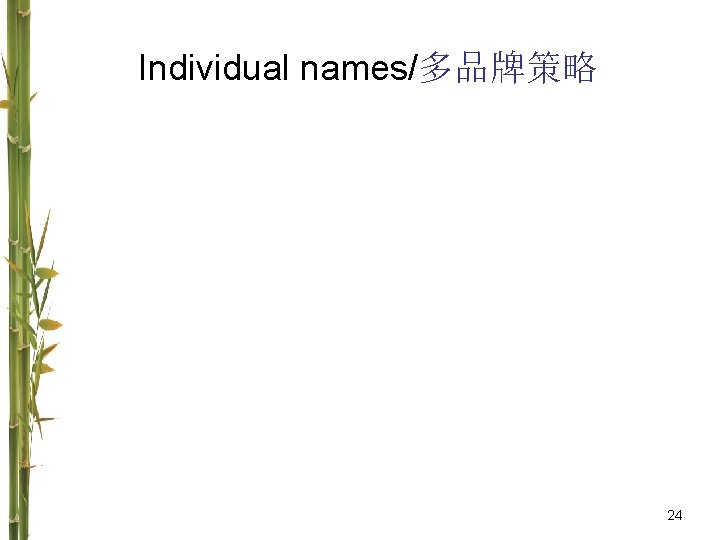  Individual names/多品牌策略 24 