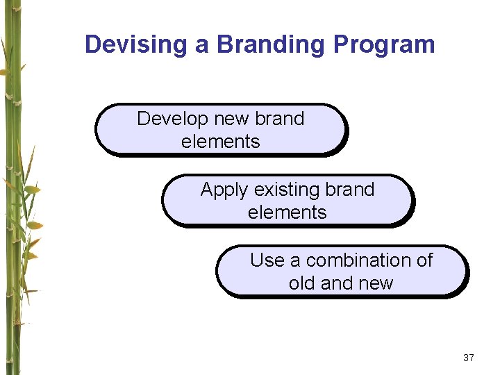 Devising a Branding Program Develop new brand elements Apply existing brand elements Use a