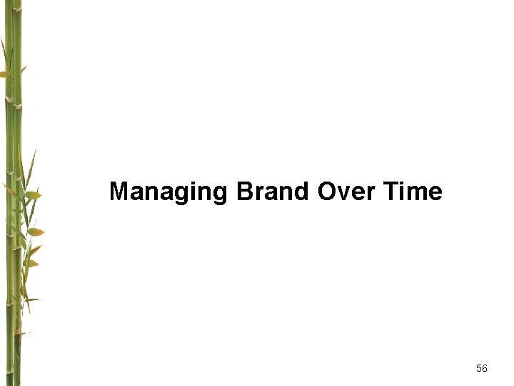 Managing Brand Over Time 56 
