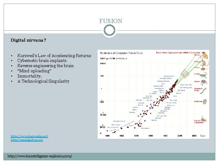 FUSION Digital nirvana? • • • Kurzweil's Law of Accelerating Returns Cybernetic brain implants