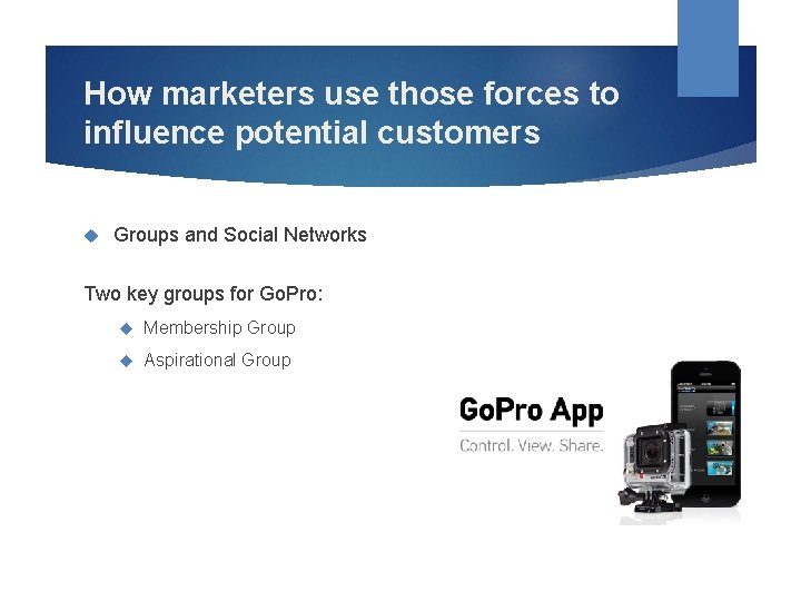 How marketers use those forces to influence potential customers Groups and Social Networks Two
