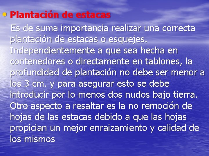  • Plantación de estacas Es de suma importancia realizar una correcta plantación de