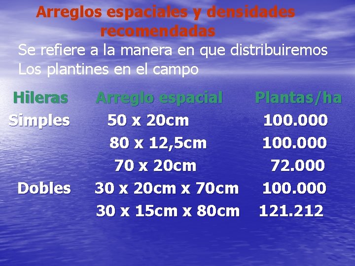 Arreglos espaciales y densidades recomendadas Se refiere a la manera en que distribuiremos Los