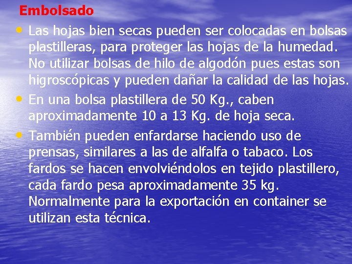 Embolsado • Las hojas bien secas pueden ser colocadas en bolsas plastilleras, para proteger