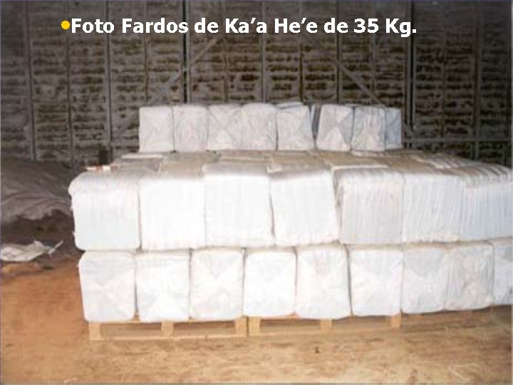  • Foto Fardos de Ka’a He’e de 35 Kg. 