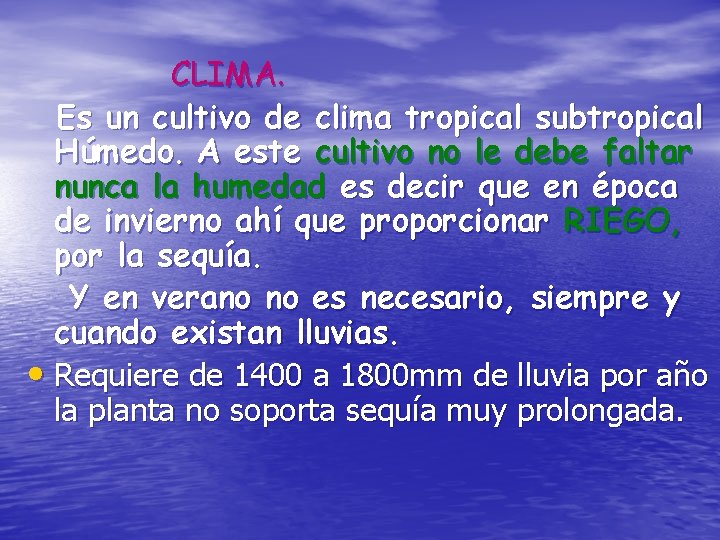 CLIMA. Es un cultivo de clima tropical subtropical Húmedo. A este cultivo no le