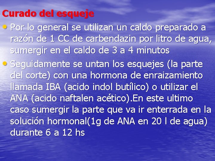 Curado del esqueje • Por lo general se utilizan un caldo preparado a razón