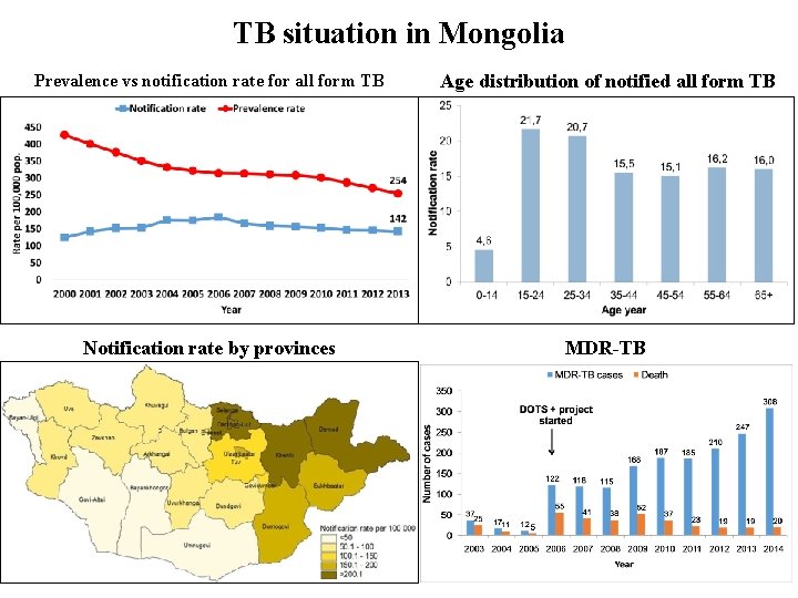 TB situation in Mongolia Prevalence vs notification rate for all form TB Age distribution