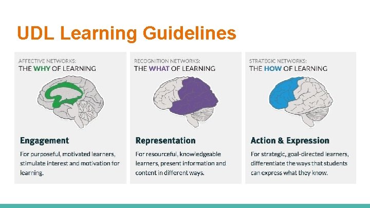 UDL Learning Guidelines 