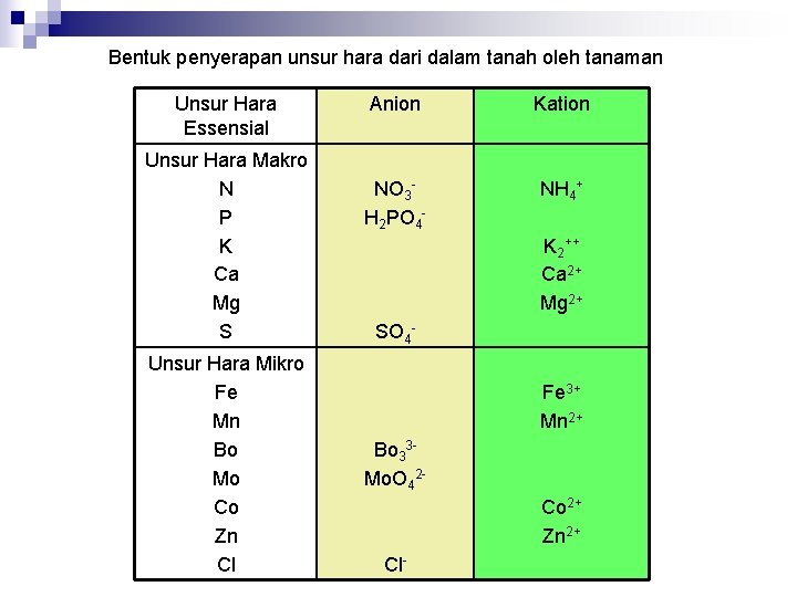 Bentuk penyerapan unsur hara dari dalam tanah oleh tanaman Unsur Hara Essensial Unsur Hara