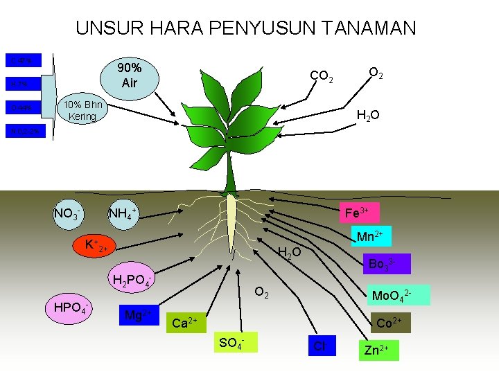 UNSUR HARA PENYUSUN TANAMAN C 47% 90% Air H 7% O 44% CO 2