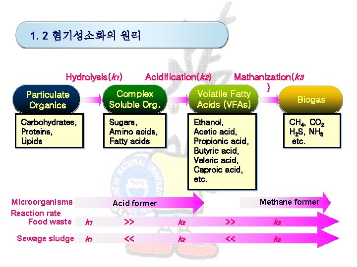1. 2 혐기성소화의 원리 Hydrolysis(k 1) Acidification(k 2) Particulate Organics Complex Soluble Org. Carbohydrates,