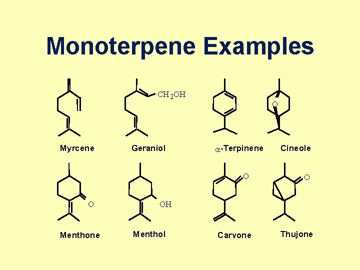 Monoterpene Examples CH 2 OH Myrcene Geraniol O a -Terpinene O O Menthone Cineole