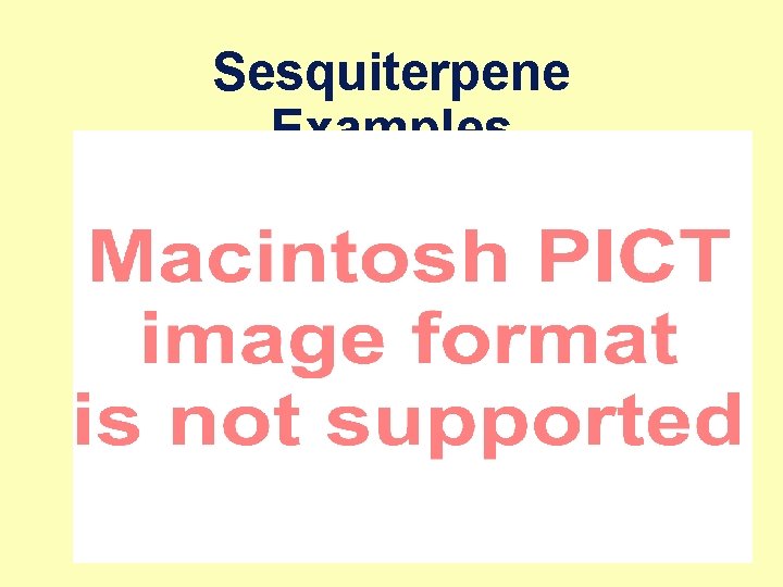 Sesquiterpene Examples 