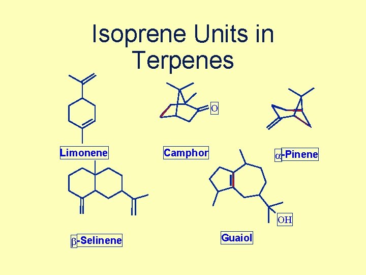 Isoprene Units in Terpenes O Limonene Camphor a -Pinene OH b -Selinene Guaiol 