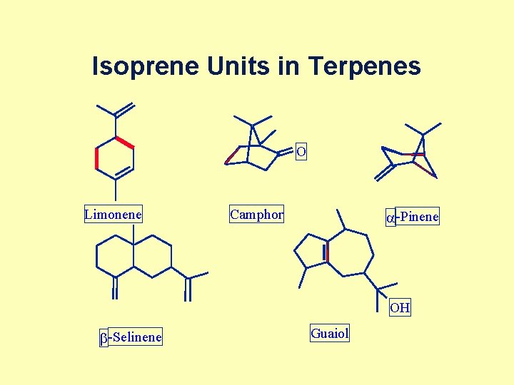 Isoprene Units in Terpenes O Limonene Camphor a -Pinene OH b -Selinene Guaiol 