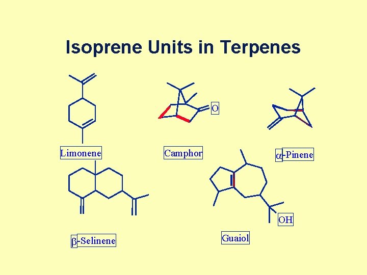 Isoprene Units in Terpenes O Limonene Camphor a -Pinene OH b -Selinene Guaiol 