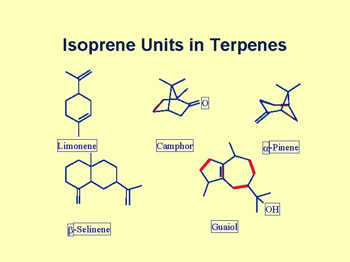 Isoprene Units in Terpenes O Limonene Camphor a -Pinene OH b -Selinene Guaiol 