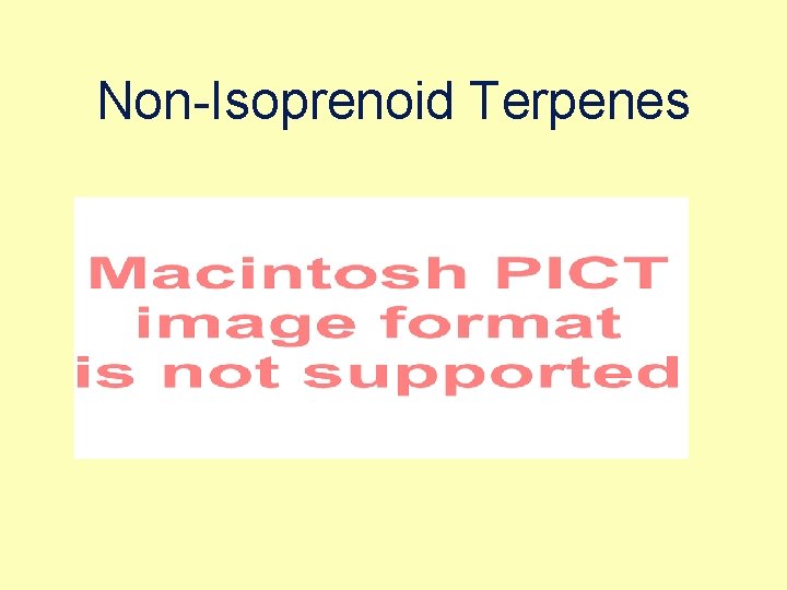 Non-Isoprenoid Terpenes 