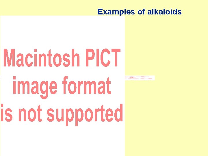 Examples of alkaloids 