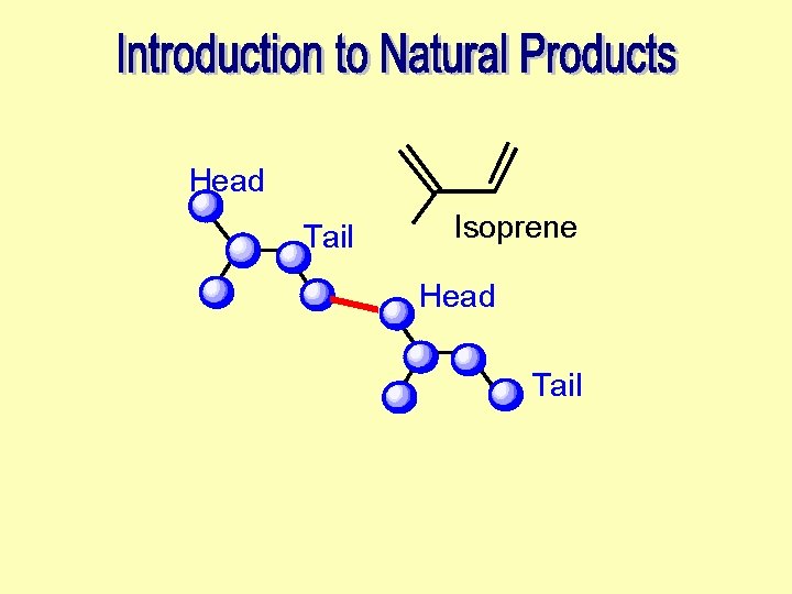 Head Tail Isoprene Head Tail 