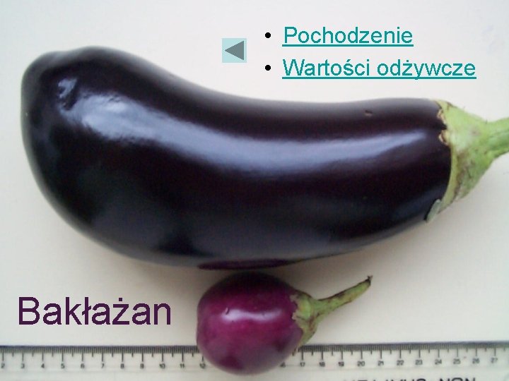 opracowaa-teresa-chabrowska-warzywa-nieznane-warzywa-znane-warzywa