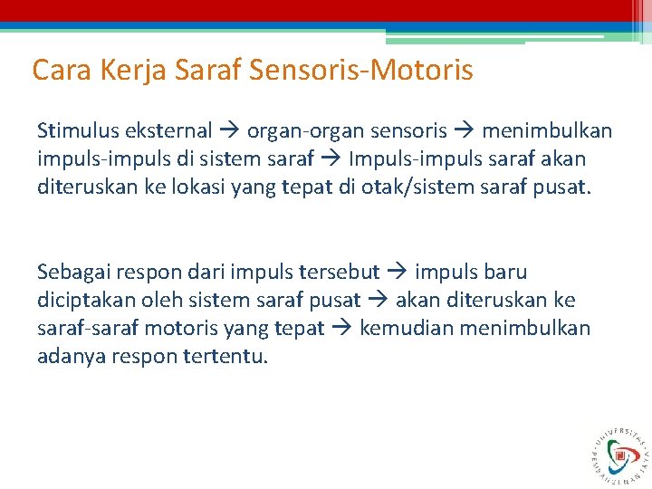 Cara Kerja Saraf Sensoris-Motoris Stimulus eksternal organ-organ sensoris menimbulkan impuls-impuls di sistem saraf Impuls-impuls