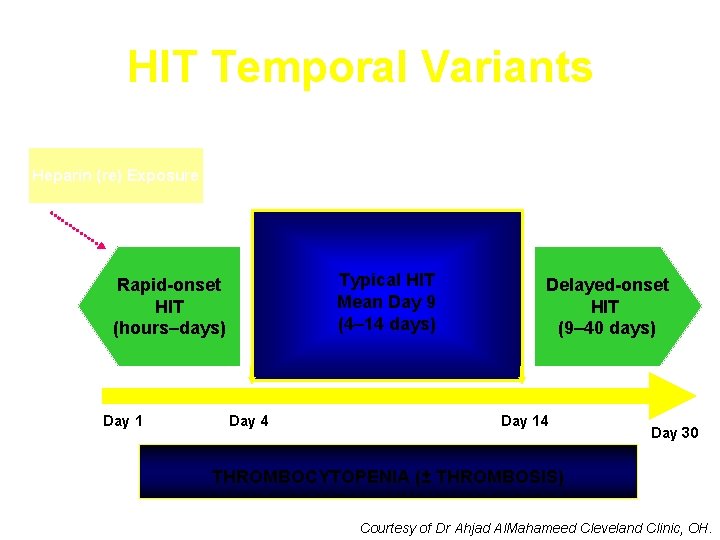 HIT Temporal Variants Heparin (re) Exposure Typical HIT Mean Day 9 (4– 14 days)