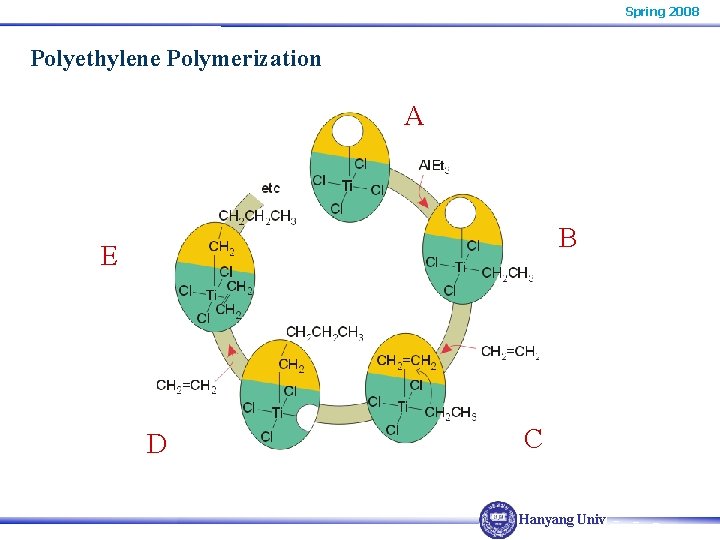 Spring 2008 Polyethylene Polymerization A B E D C Hanyang Univ. 