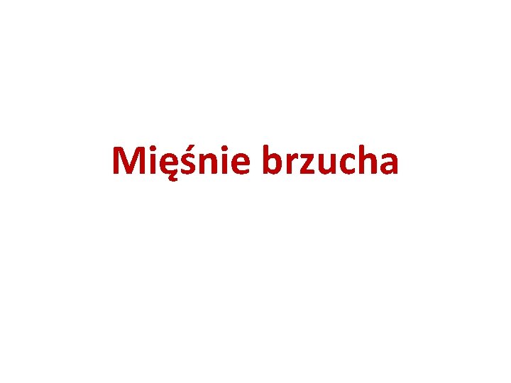 Mięśnie brzucha 