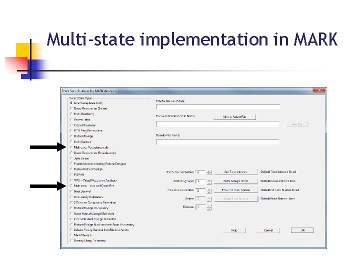 Multi-state implementation in MARK 