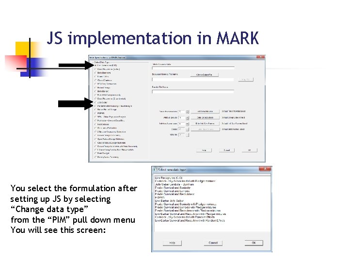 JS implementation in MARK You select the formulation after setting up JS by selecting