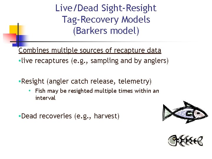Live/Dead Sight-Resight Tag-Recovery Models (Barkers model) Combines multiple sources of recapture data • live