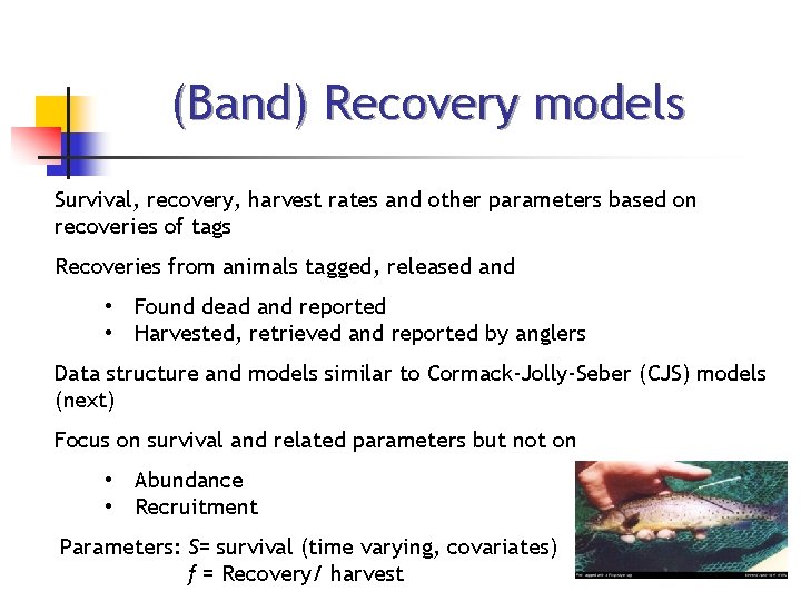 (Band) Recovery models Survival, recovery, harvest rates and other parameters based on recoveries of