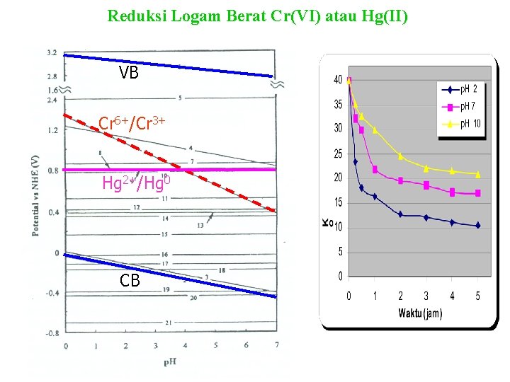 Reduksi Logam Berat Cr(VI) atau Hg(II) VB Cr 6+/Cr 3+ Hg 2+/Hg 0 CB