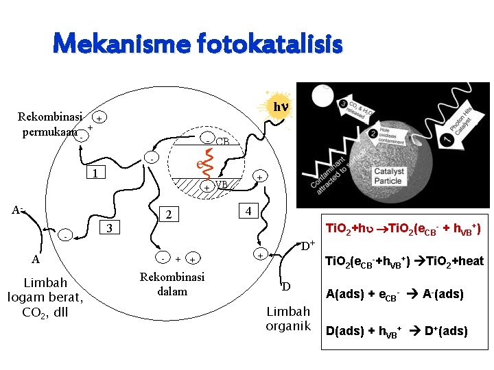 Mekanisme fotokatalisis Rekombinasi permukaan - + h + - CB - e- 1 A-