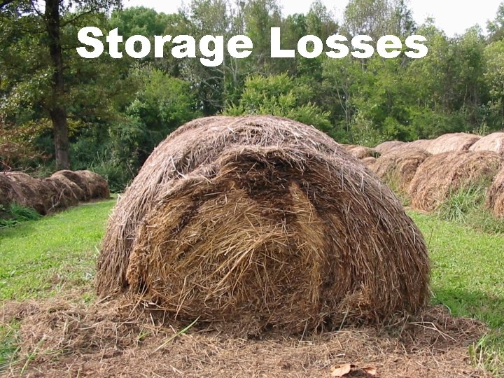 Storage Losses 