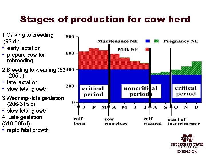 Stages of production for cow herd 1. Calving to breeding (82 d): • early