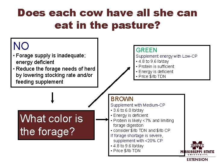 Does each cow have all she can eat in the pasture? NO GREEN •