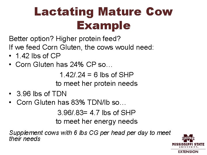 Lactating Mature Cow Example Better option? Higher protein feed? If we feed Corn Gluten,