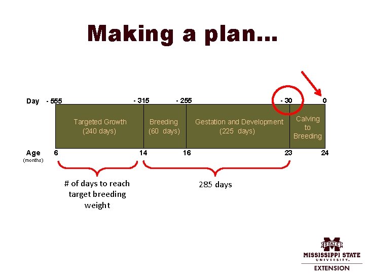 Making a plan… - 315 Day - 555 Breeding (60 days) Targeted Growth (240